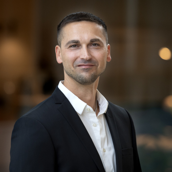Darko Mihajlovic